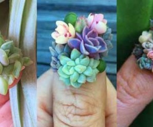 Uñas decoradas con plantas suculentas ¿Te animas a este manicura?